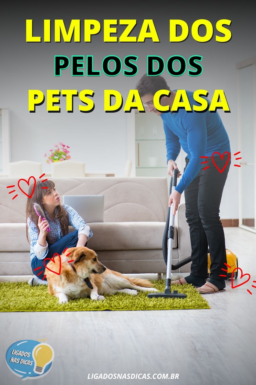 eliminar os pelos dos pets da casa