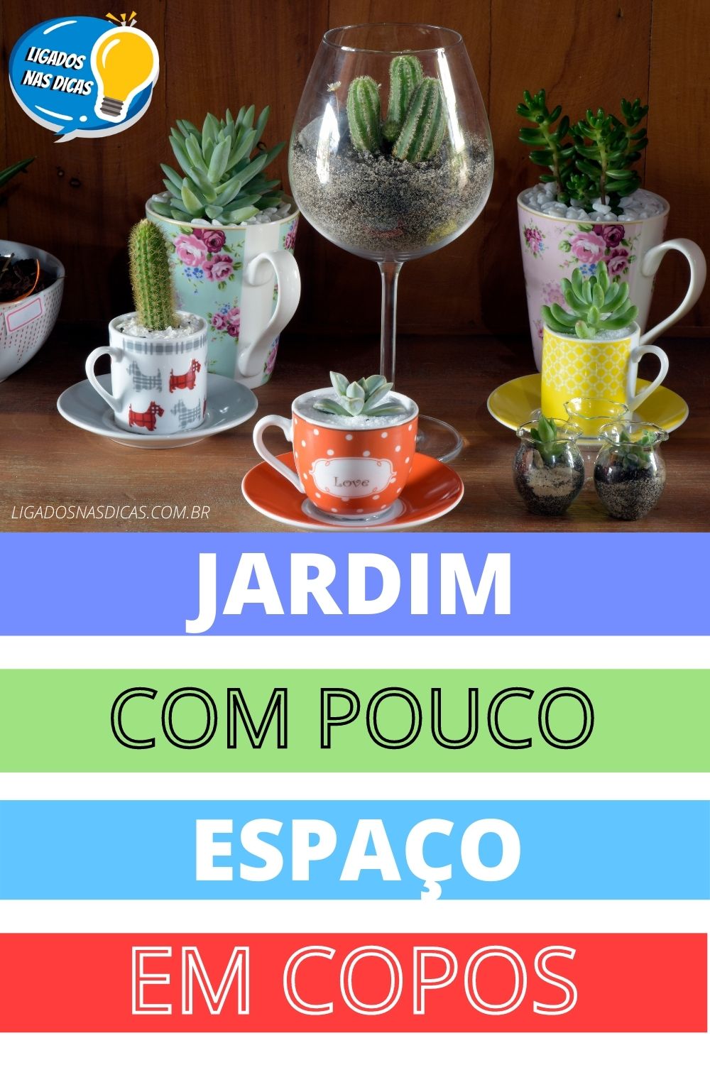 plantas em copos
