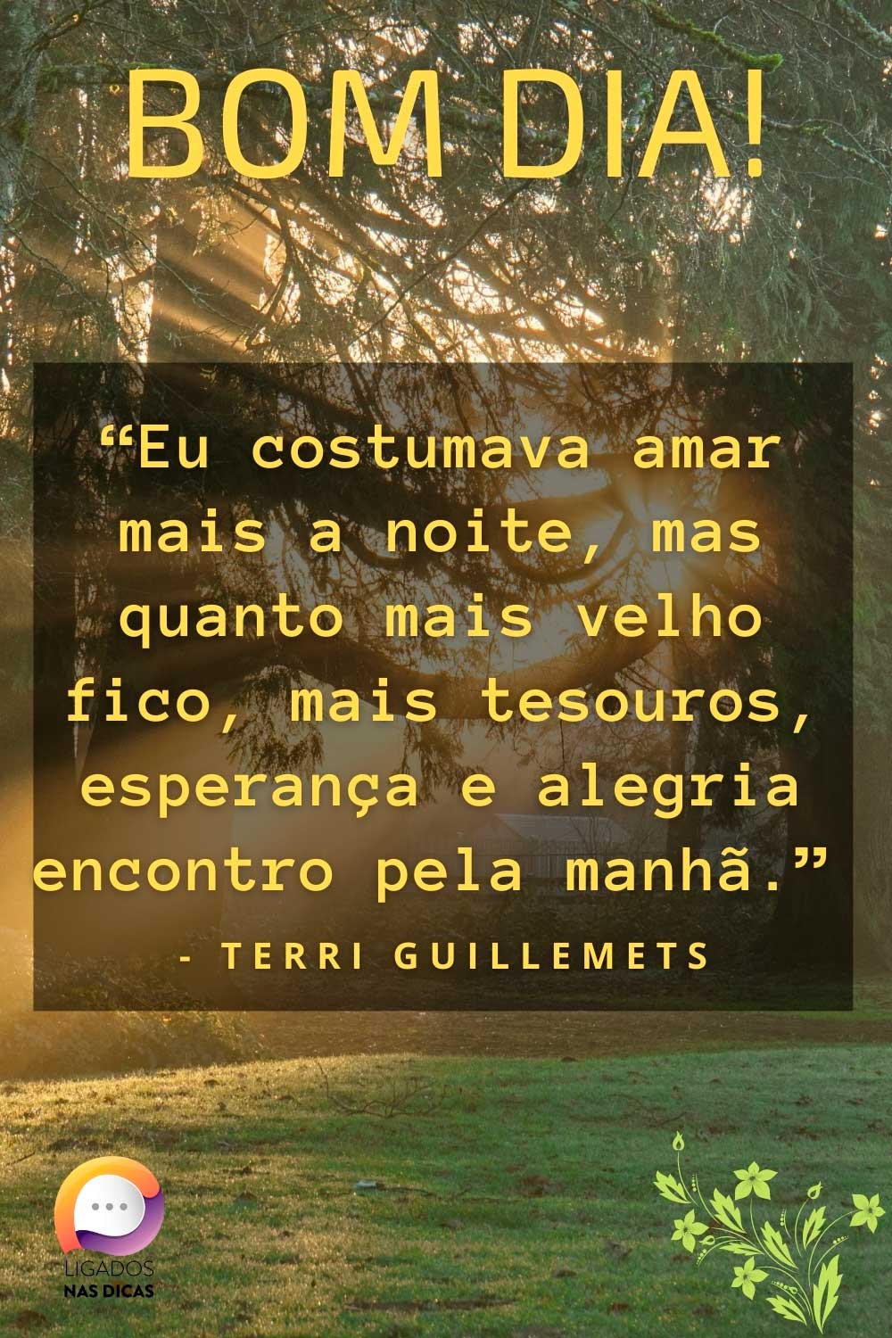 Eu costumava amar mais a noite