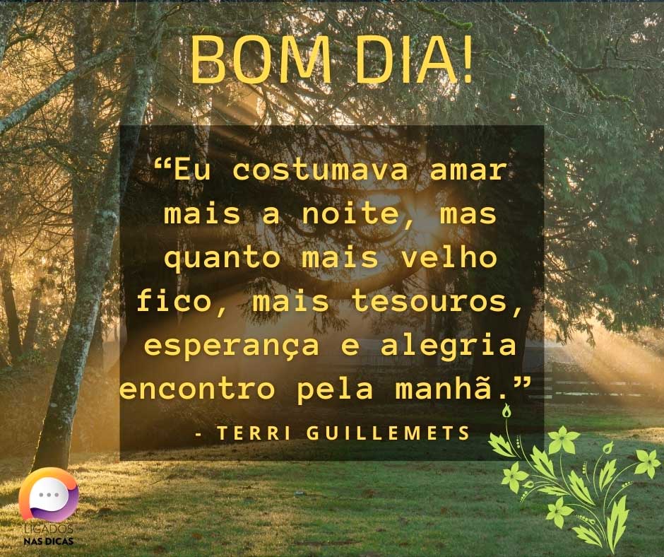 levante e mostre para os teus medos Eu costumava amar mais a noite