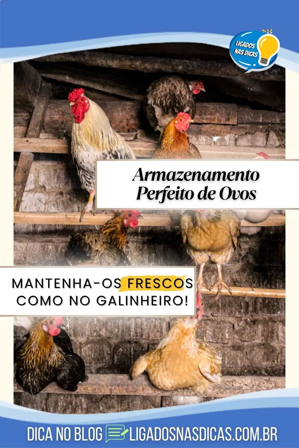 guardar ovos Armazenamento Perfeito de Ovos: Dicas Para Frescor Prolongado!