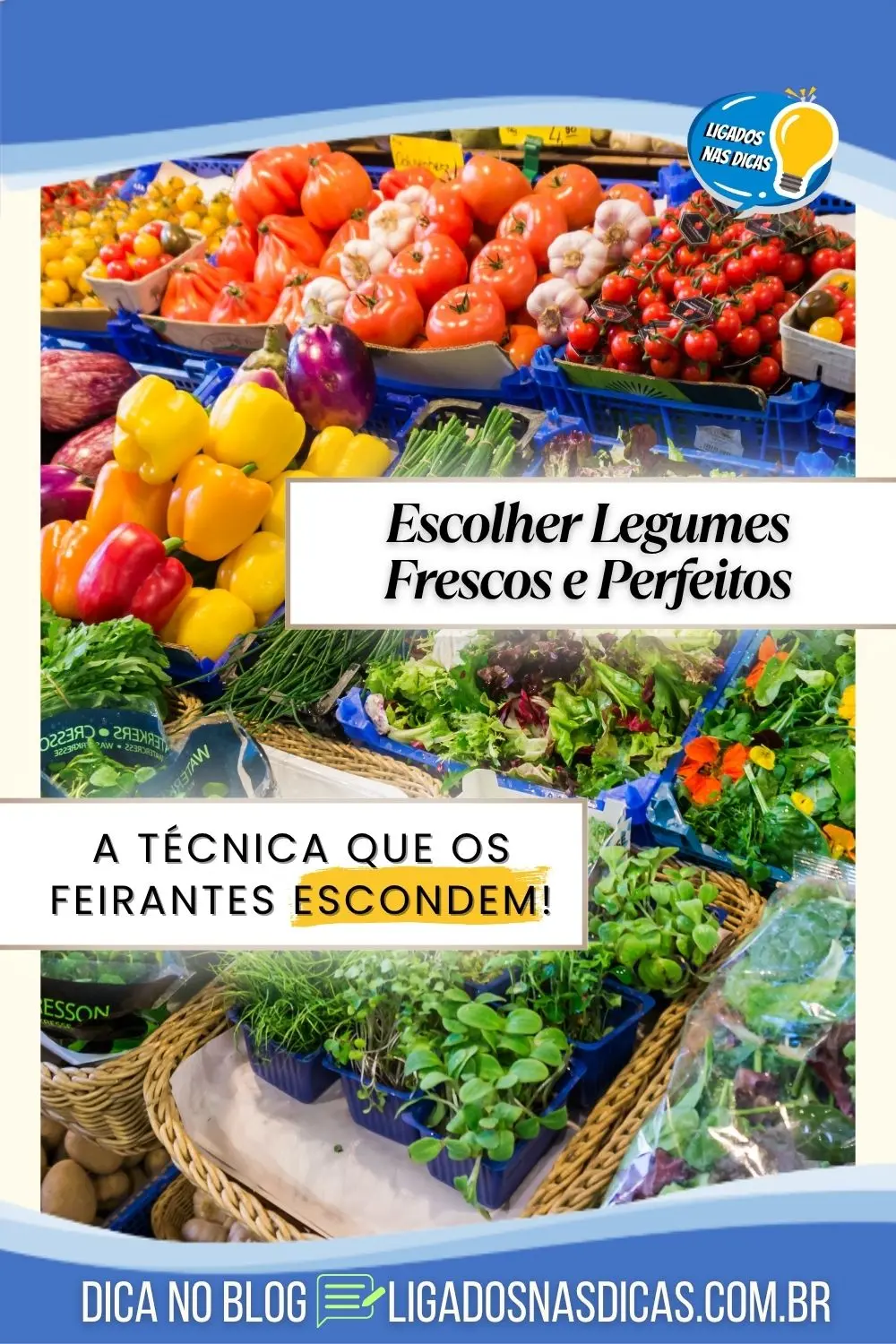 escolher legumes na feira Escolher Legumes Perfeitos: Dicas Infalíveis para o Seu Mercado